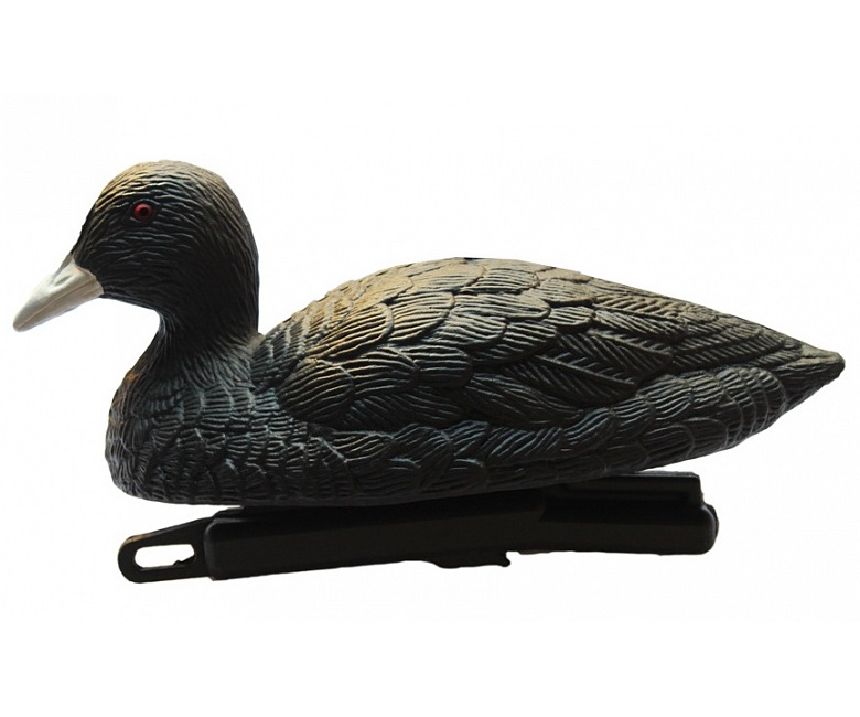 300e821cc373db5db89299df1d368424