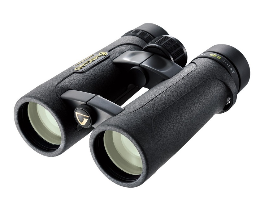 3be07e5445d3ac8bfea01ed8b67c20c5