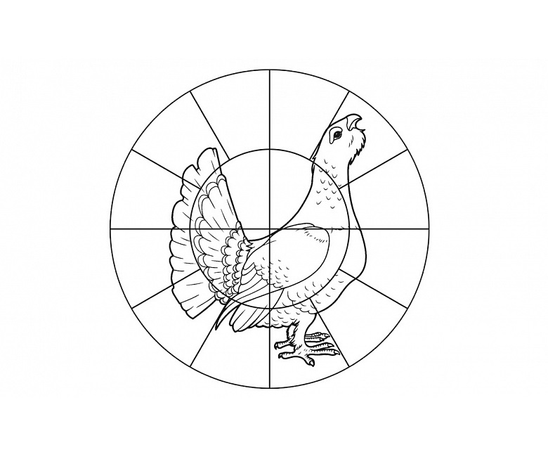 497cfb7bd9077513d67781dc9153c02f